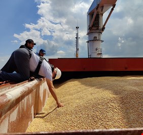 إلغاء بيع شحنة الحبوب الأوكرانية إلى لبنان والكشف عن السبب