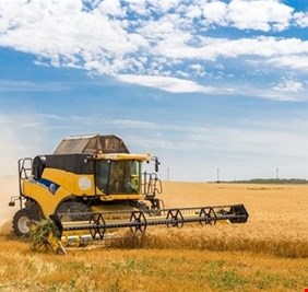 التايمز: محنة مزارعي القمح في أوكرانيا تنذر بمجاعة عالمية