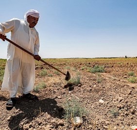 الزراعة: تغيير جنس الأراضي من زراعي إلى سكني يحتاج إلى موافقة مجلس الوزراء