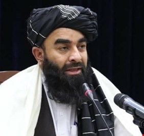 طالبان تعلن أنها لم تعثر على جثة الظواهري