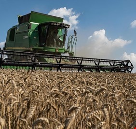 الأمم المتحدة: أزمة الغذاء العالمية تتعلق بالتكاليف وليس بالتوافر