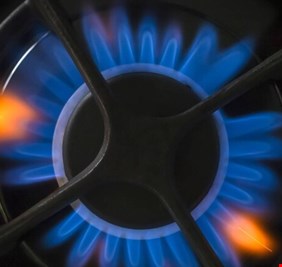 ألمانيا توقع عقود غاز مسال في الإمارات