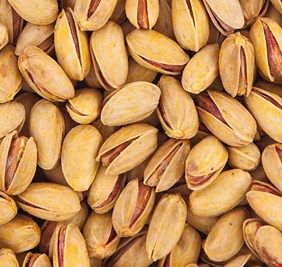 ضبط ملياري دينار لمشروع وهمي لزراعة الفستق الحلبي في العمارة!