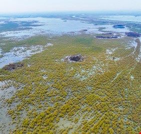 الموارد المائية تعلن عودة الحياة لهور الحويزة والوضع الاقتصادي للأهوار بشكل عام