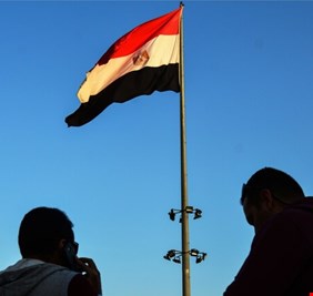 50 كتكوت لكل مواطن في مصر.. مقترح يثير لغطا في البلاد