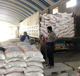 العراق يصبح اكبر مشترٍ للرز التايلندي