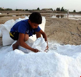 دولتان خليجيتان تتجهان لاستيراد ملح العراق