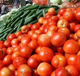 خطة عراقية لزيادة الانتاج المحلي للمحاصيل الزراعية وتصدير الفائض