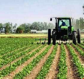 العراق.. موجة الأمطار الأخيرة زادت المساحات المزروعة إلى 6.5 ملايين دونم