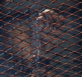 القبض على مسؤول مصري في قضية رشوة كبرى