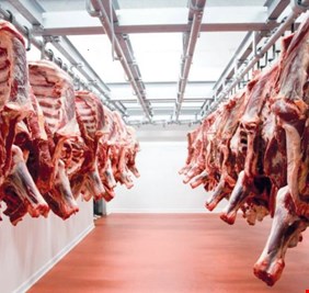 لارتفاعها بالسوق المحلية.. العراق يسمح باستيراد اللحوم الحمراء