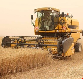 التجارة تتوقع حصاداً وفيراً للحنطة واكتفاءً ذاتياً من الطحين