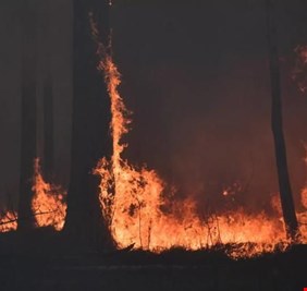 روسيا.. حرائق ضخمة في غابات مقاطعة ماغادان