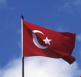 إردوغان يوجه بإعداد خطوات تضيف قيودا جديدة على منح الجنسية التركية