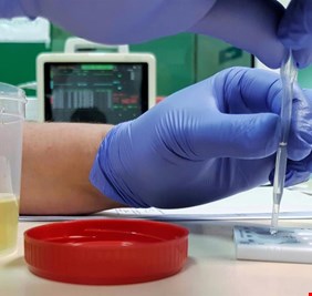 الحكومة بصدد إخضاع جميع المواطنين لفحص كشف تعاطي المخدرات