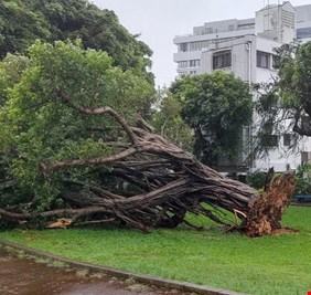 انقطاع الكهرباء عن آلاف السكان جرّاء إعصار اليابان