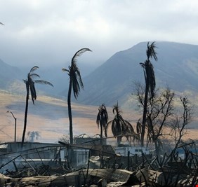 ارتفاع عدد قتلى الحرائق في هاواي إلى 110