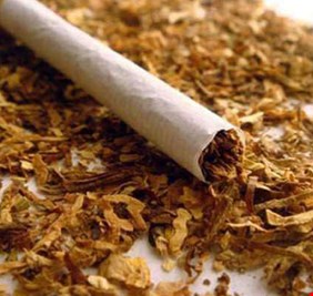 مواد غذائية تنظف الجسم من النيكوتين