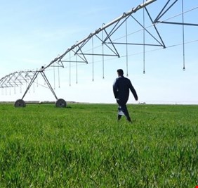 الزراعة تحدّد موعد اطلاق الخطة الزراعية الشتوية وتتوقع موسماً مطرياً غزيراً