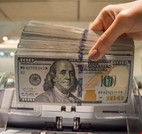 رغم استمرار ارتفاع سعره.. المركزي يبيع مليار دولار في أسبوع