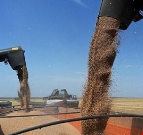 بلينكن وغوتيريش يناقشان القضايا المتعلقة بصفقة الحبوب