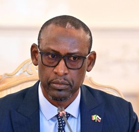 مالي تؤكد أنها لن تقف مكتوفة حال حصول تدخل عسكري في النيجر