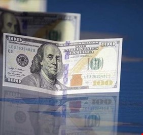 خلال 10 أشهر .. الدولار يحافظ على أعلى مستوى له