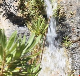 عيون المياه العذبة تتفجر في أعقاب زلزال المغرب