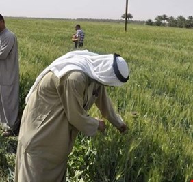 التجارة تعلن عن مبادرة تتضمن 3 حزم لدعم الفلاحين والمزارعين