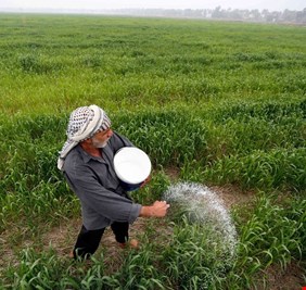الزراعة: شمول أكثر من 11 مليون دونم بالخطة الشتوية