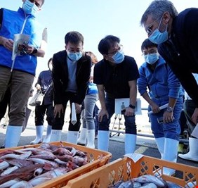 مع بدء تصريف مياه المفاعل النووي... الطاقة الذرية تجمع عينات أسماك في فوكوشيما