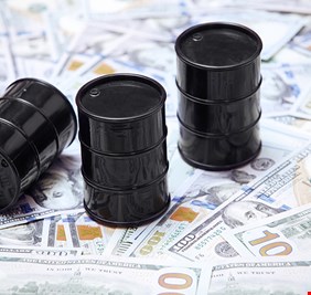 وفد حكومي من 16 مسؤول يتوجه لتركيا لإجراء مباحثات حول الدولار و النفط