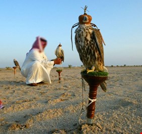 تفاصيل اختطاف الصيادين الكويتيين في صحراء الأنبار