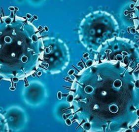 هل ترغبون بتجنّب الإصابة بكورونا في هذا الموسم؟... هذه الأطعمة مثالية لكم