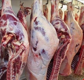 وزير الزراعة يوجه بفتح استيراد الابقار والاغنام لغرض الذبح والتربية