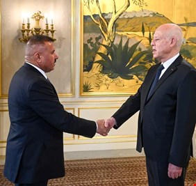وزير الداخلية يلتقي الرئيس التونسي