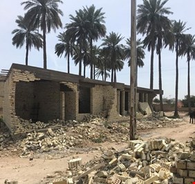 الحكومة: انخفاض التجاوزات على الأراضي الزراعية