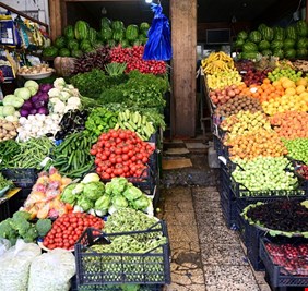 لهذا السبب.. اقتصادي يدعو الى ايقاف استيراد المواد الزراعية