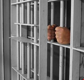 بعد ما كانت معتقلاً رهيباً.. توجيهات بتحويل الشعبة الخامسة إلى حدائق