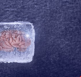 خطوة نحو العيش إلى الأبد .. علماء صينيون ينجحون في إعادة دماغ متجمد إلى الحياة