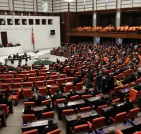 تركيا تناقش نصاً مثيراً للجدل حول مصير ملايين الكلاب الضالة