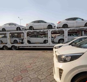 إعفاء ذوي الشهداء من الرسوم الجمركية والضرائب ولوحات التسجيل استيراد السيارات ( وثيقة)