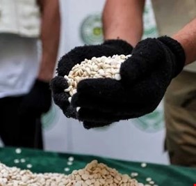 القبض على شبكة دولية لتهريب المخدرات وضبط 100 كيلوغرام من الكبتاغون