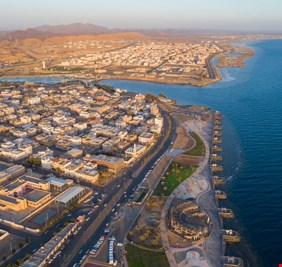 القزم الغاضب قبالة السواحل السعودية