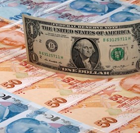 الدولار يرتفع واليورو يتراجع لأدنى مستوياته في عامين