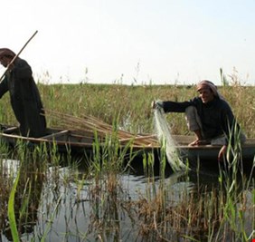 وزير عراقي يعلن إيقاف هجرة سكان الاهوار