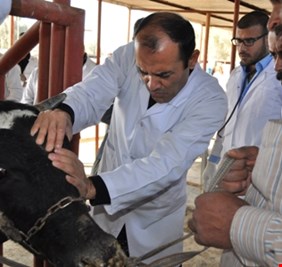 المالكي يتهم جهات خارجية بترويع المواطنين بالحمى القلاعية