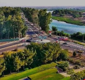 التربية تنفي المساس بغابات الموصل