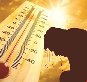 كيف تؤثر درجات الحرارة المرتفعة على معدل التقدم في العمر؟