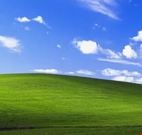 صدمة على الإنترنت بسبب 